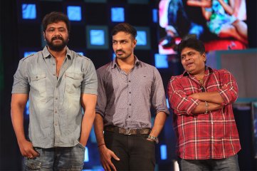 Express Raja Audio Launch